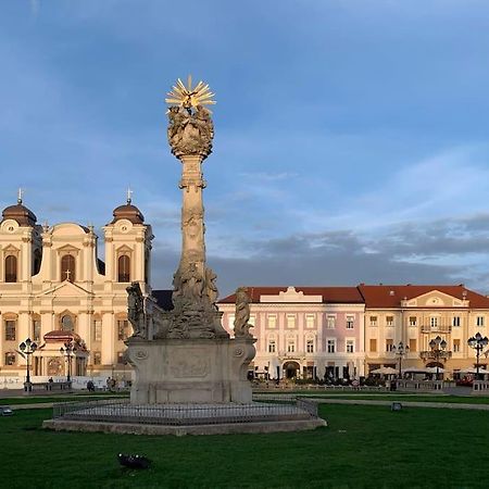 Cozy & Charming Apt. Downtown Apartment Timisoara Luaran gambar