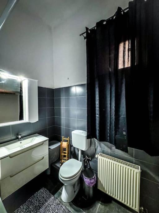 Cozy & Charming Apt. Downtown Apartment Timisoara Luaran gambar