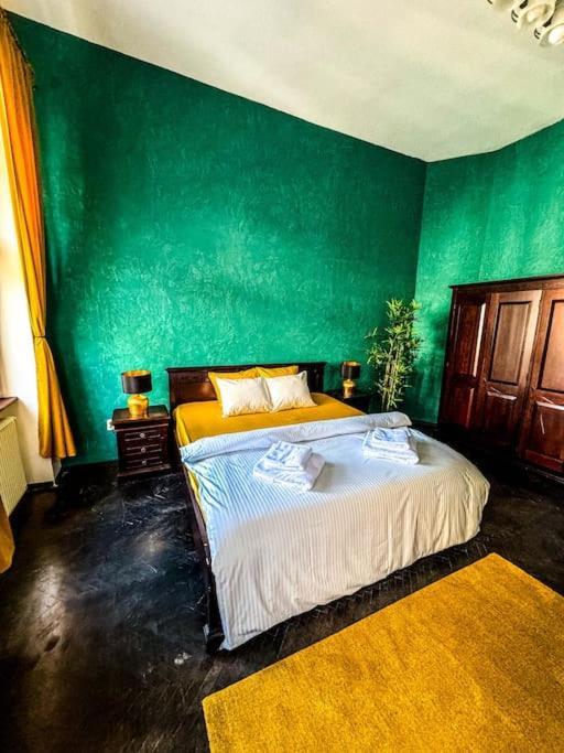 Cozy & Charming Apt. Downtown Apartment Timisoara Luaran gambar